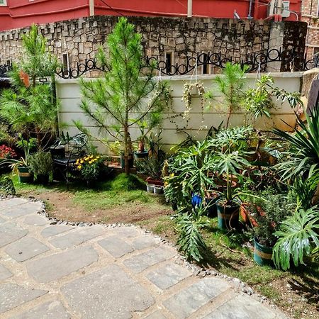 Wasabi House - Homestay Ben Cho Da Lat Esterno foto