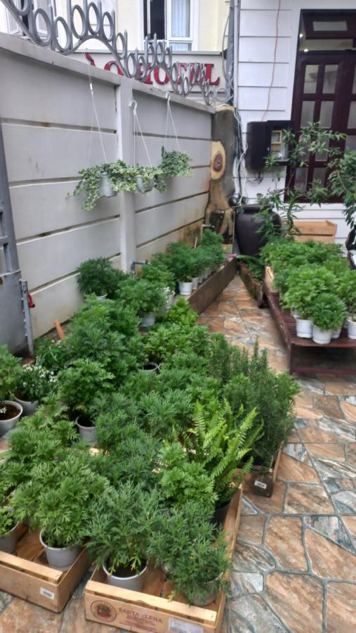 Wasabi House - Homestay Ben Cho Da Lat Esterno foto