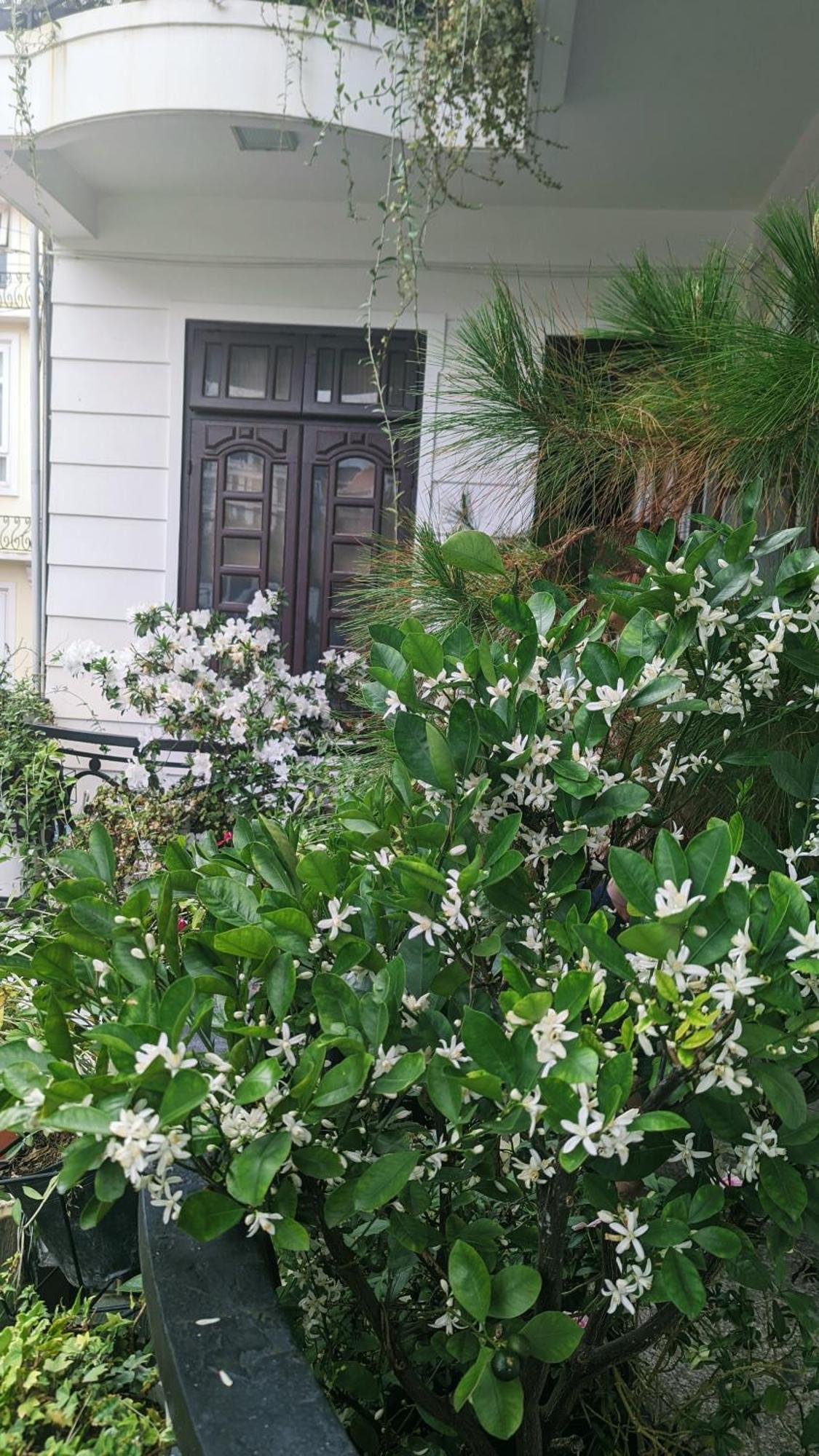 Wasabi House - Homestay Ben Cho Da Lat Esterno foto